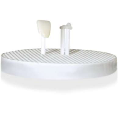 Pâte De Cuisson Auxiliaire - Fring Paste