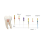 Kit de retraitement endodontique