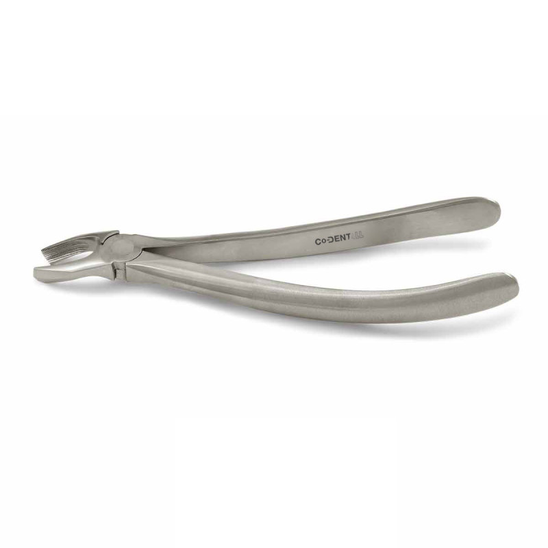 davier molaire maxillaire gauche