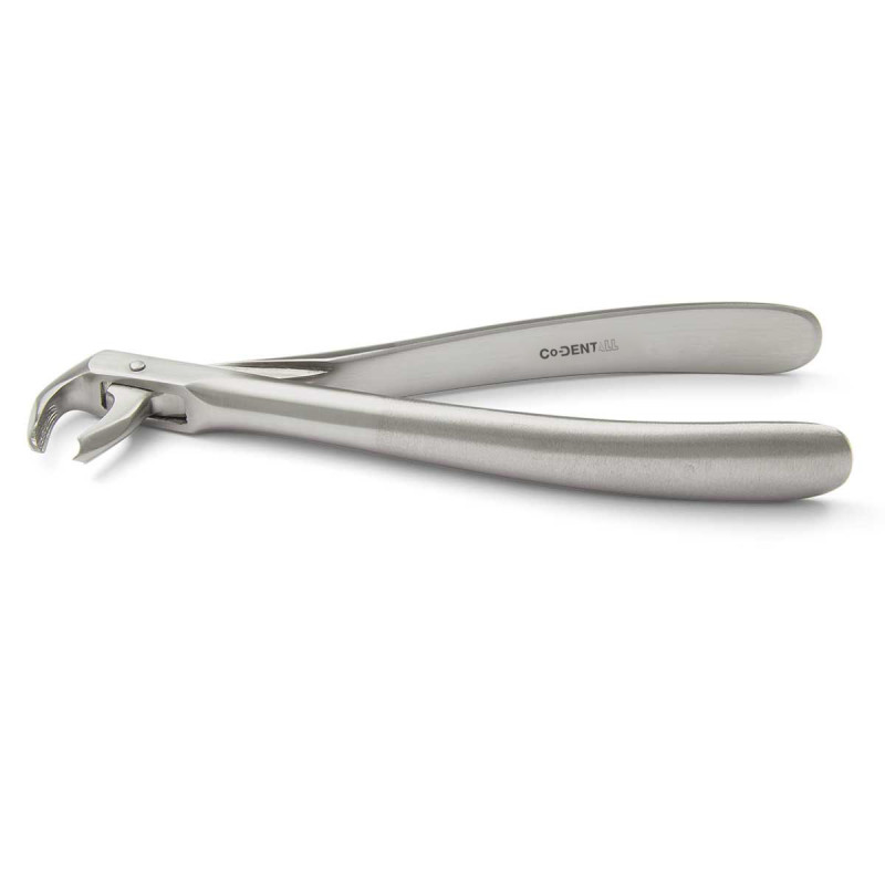 davier molaire du bas