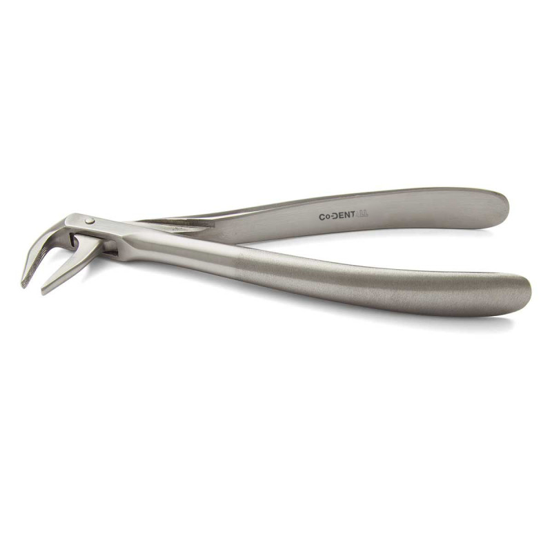 Davier Racine Mandibulaire