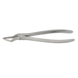 Davier racine maxillaire – Extraction atraumatique des racines supérieures